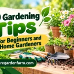 50 Gardening Tips for Beginners and Home Gardeners