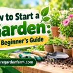 How to Start a Garden: A Beginner's Guide