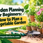 Garden Planning for Beginners: How to Plan a Vegetable Garden